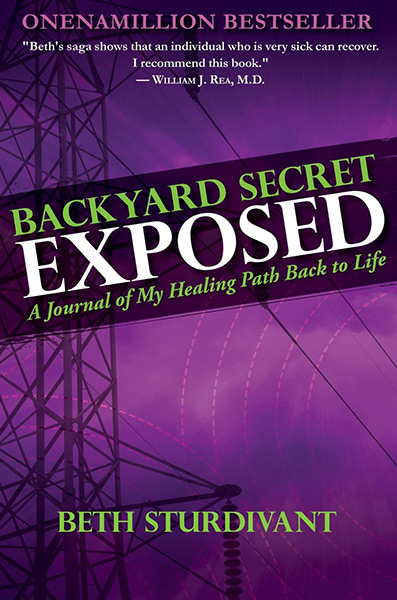 The secret book ebook download