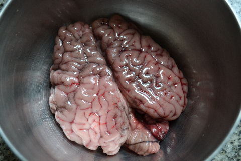 Cooking Brain