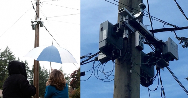Cellular Deception | EMFacts Consultancy